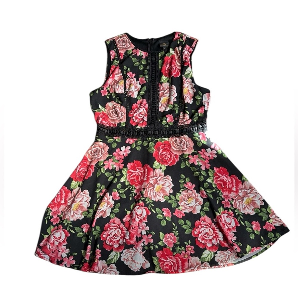 Disney Floral Black and Pink Dress